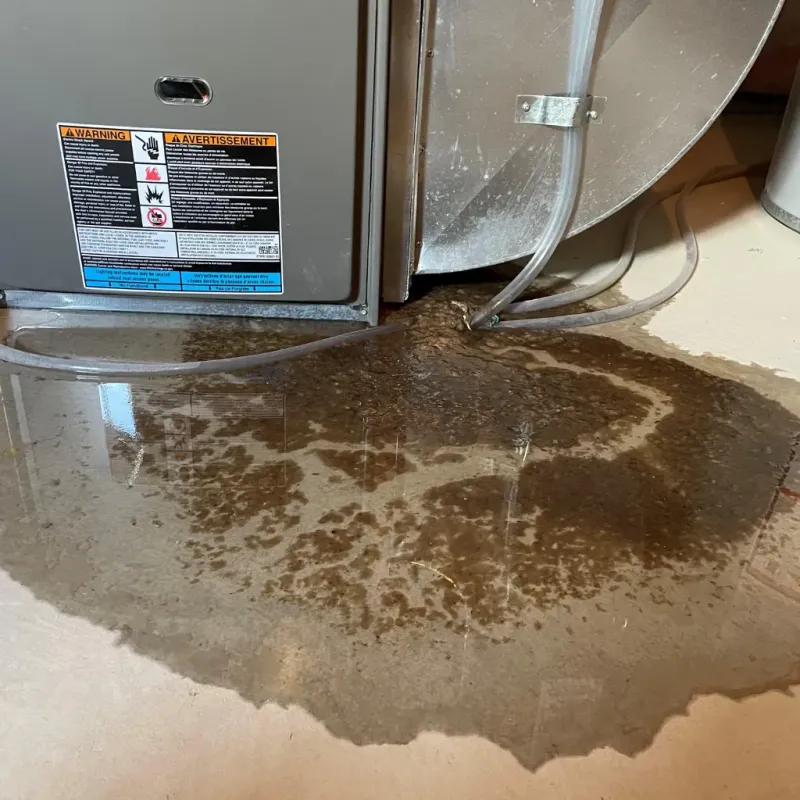 Appliance Leak Cleanup in Greensboro, AL